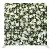 White roses with green leaves background